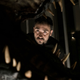 J.A. Bayona, dino dentist.